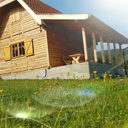 Vila Brvnara Tara Bajina Basta Exteriér fotografie