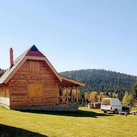 Vila Brvnara Tara Bajina Basta Exteriér fotografie