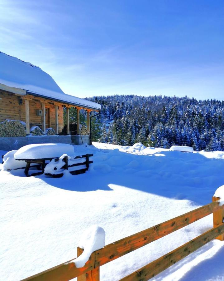 Vila Brvnara Tara Bajina Basta Exteriér fotografie