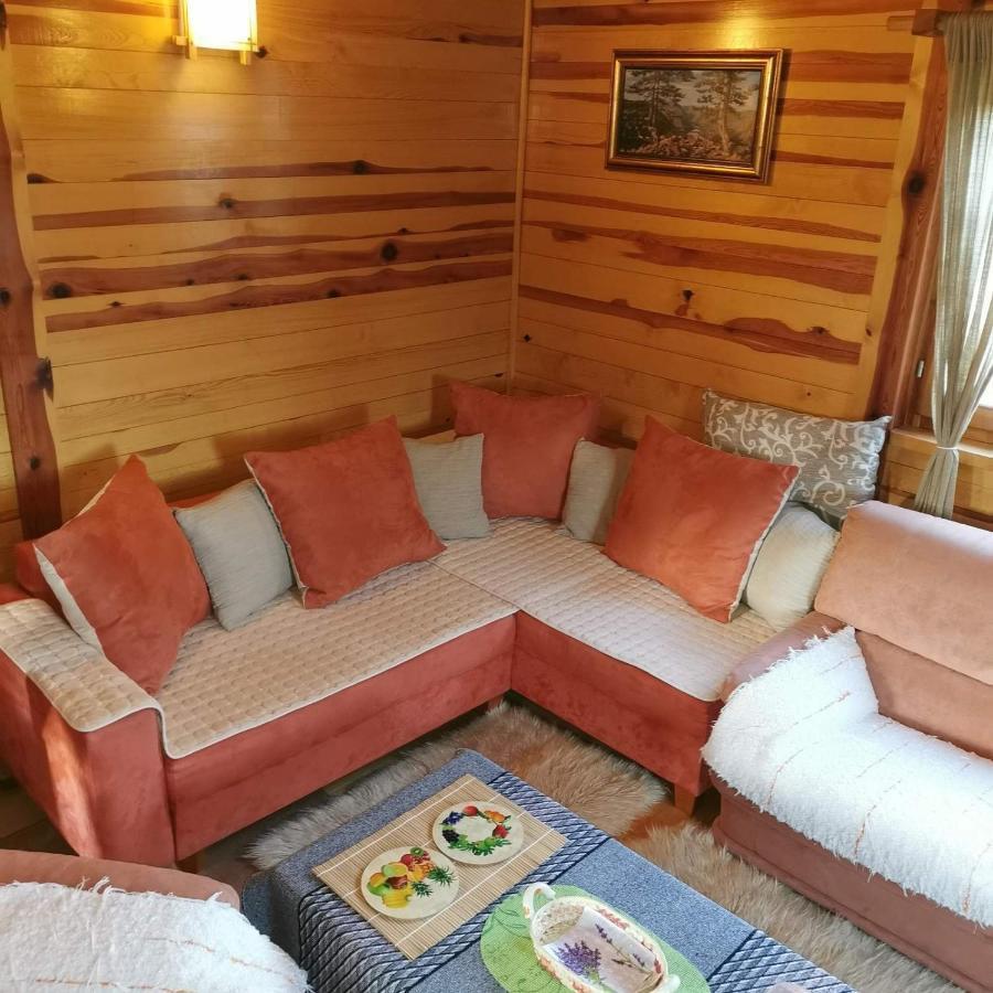Vila Brvnara Tara Bajina Basta Exteriér fotografie