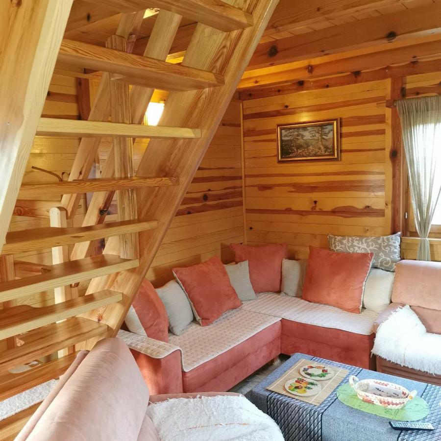 Vila Brvnara Tara Bajina Basta Exteriér fotografie