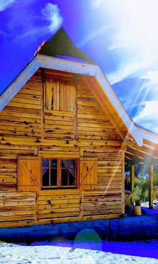 Vila Brvnara Tara Bajina Basta Exteriér fotografie