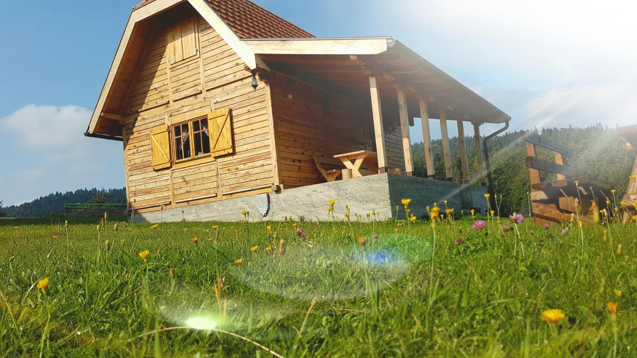 Vila Brvnara Tara Bajina Basta Exteriér fotografie