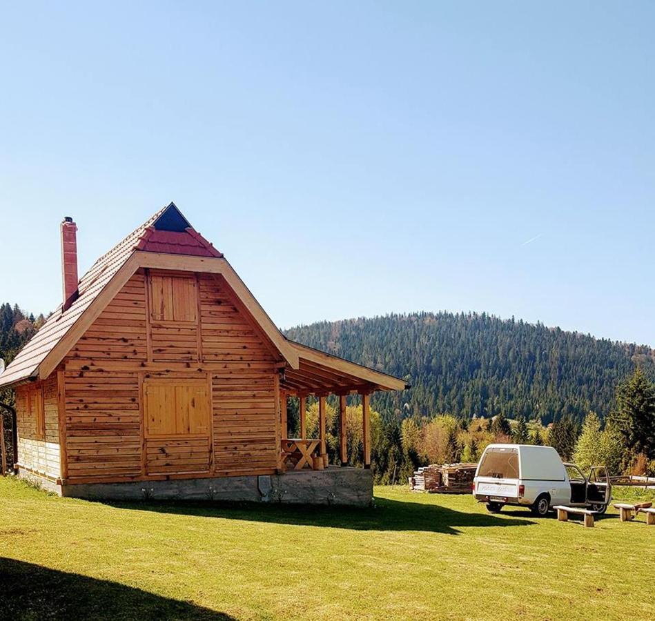 Vila Brvnara Tara Bajina Basta Exteriér fotografie